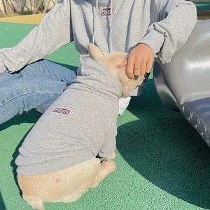Matching Family Clothes For Pet And Owner Hoodies Embroidered Hoodies